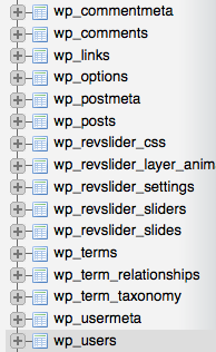 wordpress-database-wp-user-table
